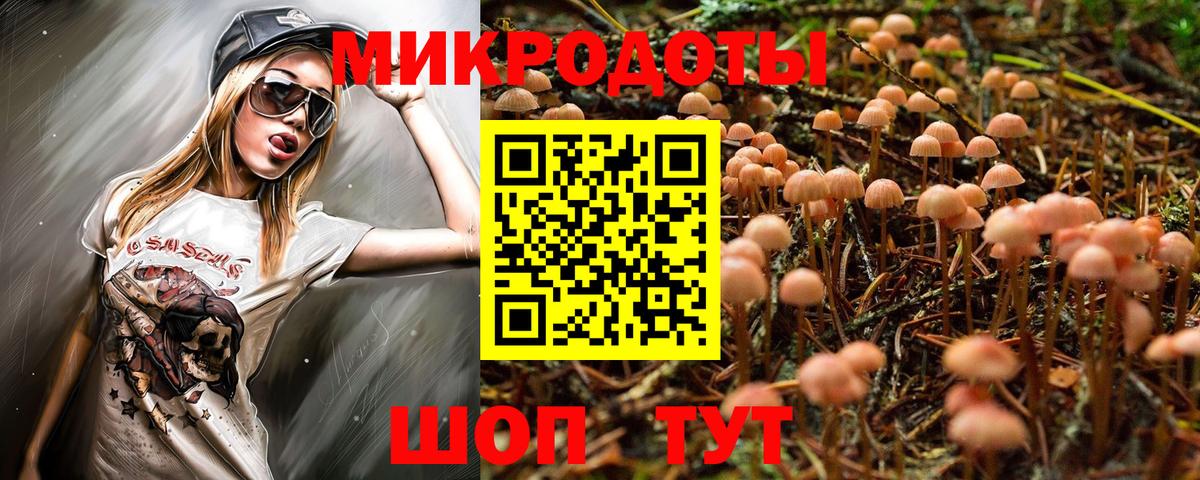 Галлюциногенные грибы прущие грибы  Вход с VPN  Галлюциногенные грибы Psilocybe  наркота  Каменка 